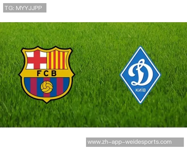 费伦茨与佐加顿斯的精彩对决揭示足球战术与团队协作的魅力